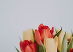 Pexels Lil Artsy 2058498